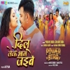 Dil LekeBhag Jayibe - Power Star Pawan Singh, Shvani Singh