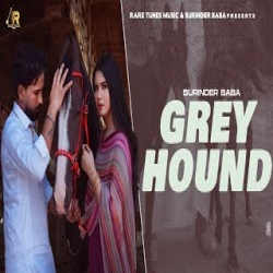 Greyhound - Surinder Baba Mp3 Song