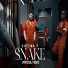 Snake - Cheema Y
