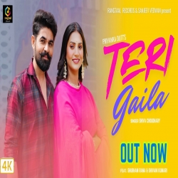 Teri Gaila - Shiva Choudhary Mp3 Song