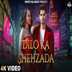Dilo Ka Shehzada - Shahid Mallya, Shumalini Goswami Mp3 Song