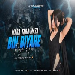 MARA TARA MAZA BIN BIYAHE RAJA HO DJ Mp3 Song