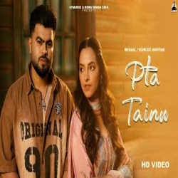 Pta Tainu - Misaal, Gurlez Akhtar Mp3 Song