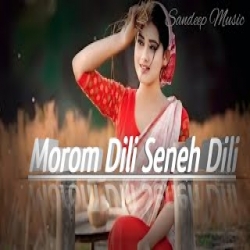 Morom Dili Seneh Dili Mp3 Song