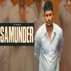 Samunder - Tiger Mp3 Song