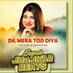 Dil Mera Tod Diya (Jhankar Beats) - Alka Yagnik Mp3 Song