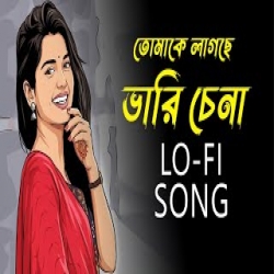 Tomake Lagche Bhari Chena - Bangla Lo-Fi Mp3 Song