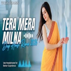 Tera Mera Milna - Cover Mp3 Song