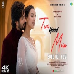 Teri Yaad Mein - Bairagi Mp3 Song