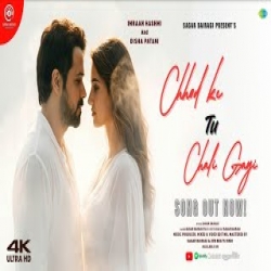 Chhod Ke Tu Chali Gayi - Sagar Bairagi Mp3 Song