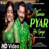Tumse Pyar Ho Gaya - Romantic Love Song