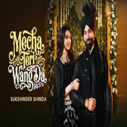 Mecha Teri Wang Da - Sukshinder Shinda Mp3 Song