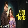 Dil Tode - DJ Flow
