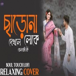 Charona Dekhle Loke Bolbe Ta Ki - Bangla Lofi Mix Mp3 Song